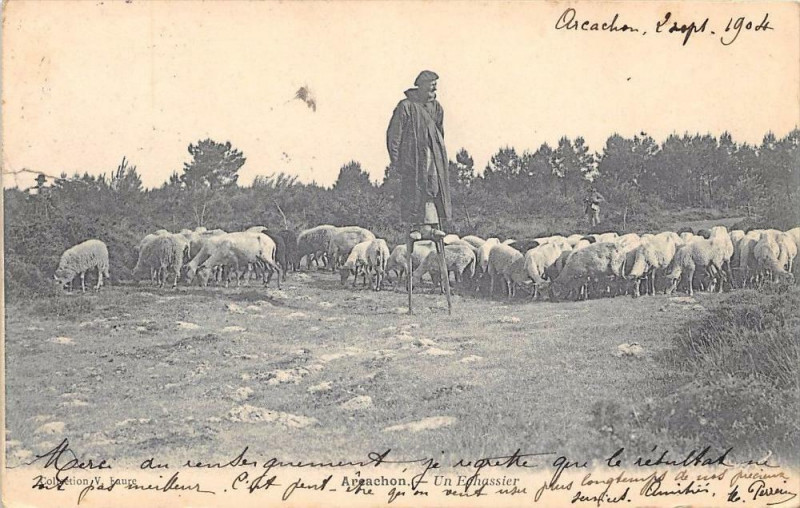 Carte postale ancienne Arcachon Un Echassier   (dos non divisé) à Arcachon