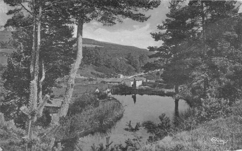 Carte postale ancienne Jeansagniere Les Gorges Du Bois De L'Eversin