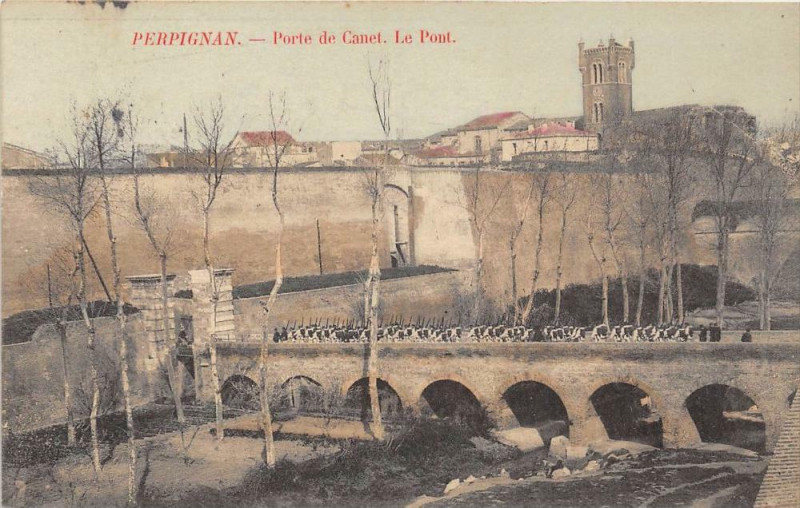 Carte postale ancienne Perpignan Porte De Canet Le Pont à Perpignan