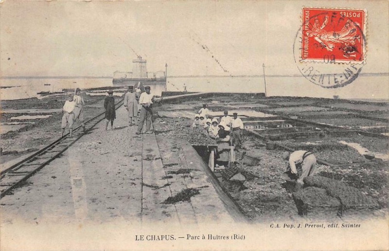 Carte postale ancienne Le Chapus Parc A Huitres Rie