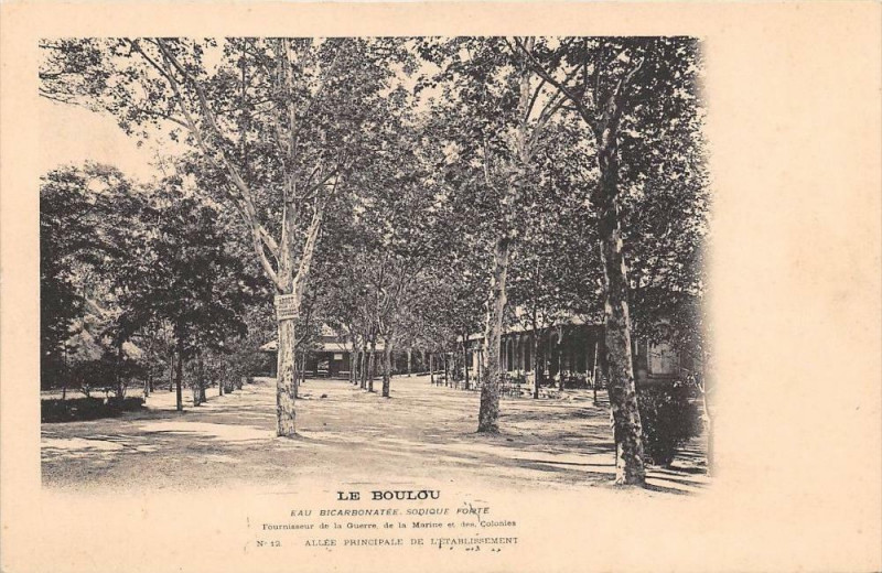 Carte postale ancienne Le Boulou Allee Principale De L'Etablissement  (dos non divisé) au Boulou