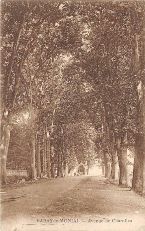 Carte postale ancienne Paray Le Monial Avenue De Charolles à Charolles