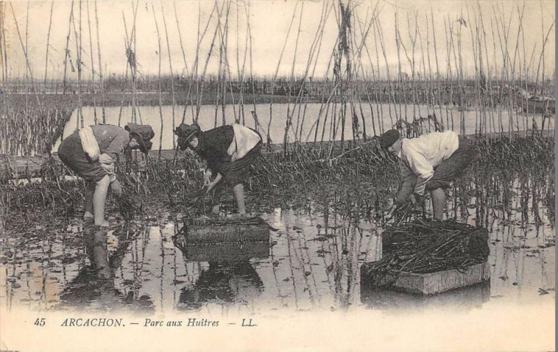 Carte postale ancienne Arcachon Parc Aux Huitres à Arcachon