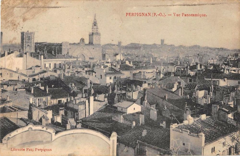 Carte postale ancienne Perpignan Vue Panoramique à Perpignan