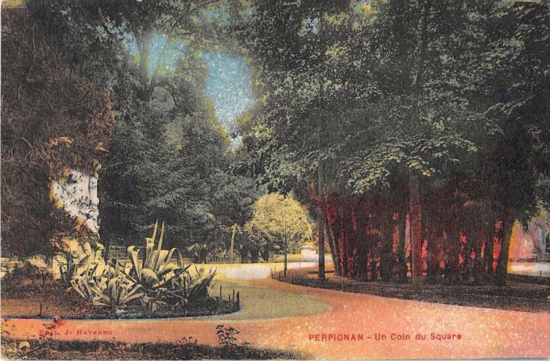 Carte postale ancienne Perpignan Un Coin Du Square à Perpignan