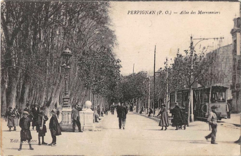 Carte postale ancienne Perpignan Allee Des Marronniers à Perpignan