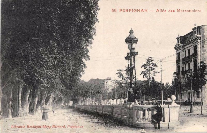 Carte postale ancienne Perpignan Allee Des Marronniers à Perpignan