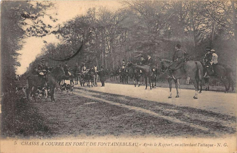Carte postale ancienne Chasse A Courre En Foret De Fontainebleau Apres Le Rapport Attendant L'At à Fontainebleau