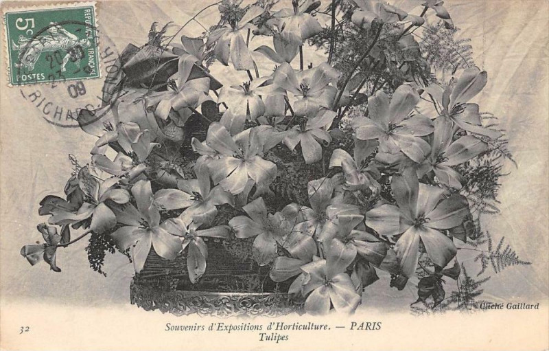 Carte postale ancienne Paris Souvenirs D'Expositions Horticulture Tulipes à Paris