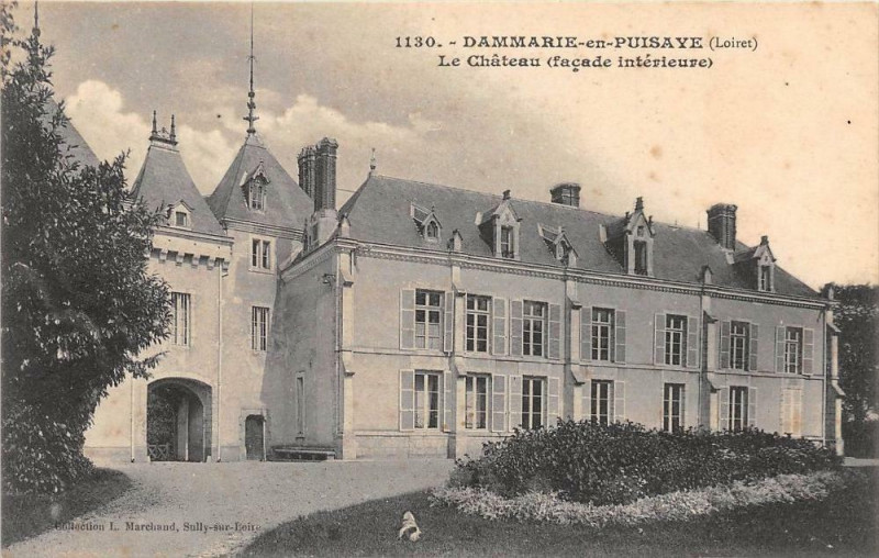 Carte postale ancienne Dannemarie En Puisaye Chateau