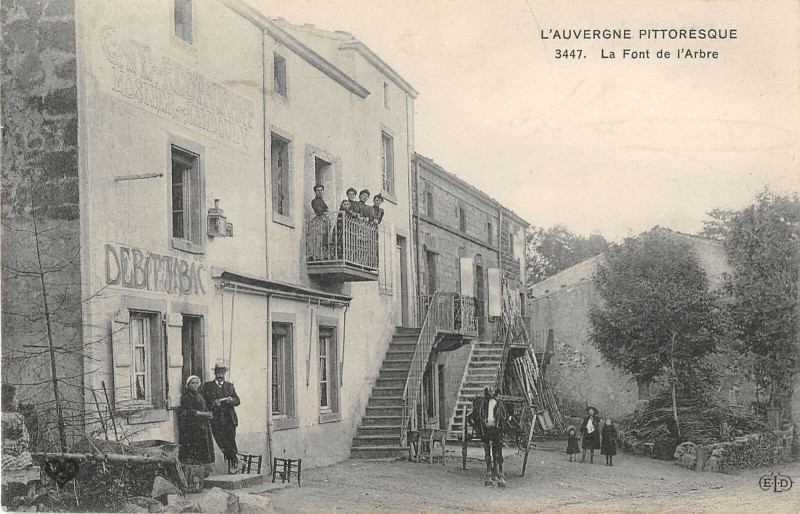 Carte postale ancienne Le Font De L'Arbre