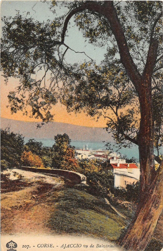 Carte postale ancienne 20 Corse Ajaccio Vu De Balestrino à Ajaccio