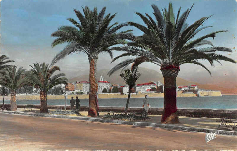 Carte postale ancienne 20 Corse Ajaccio Boulevard Albert 1ER Et La Vieille Ville à Ajaccio