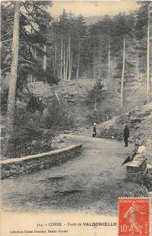 Carte postale ancienne 20 Corse Foret De Valdoniello