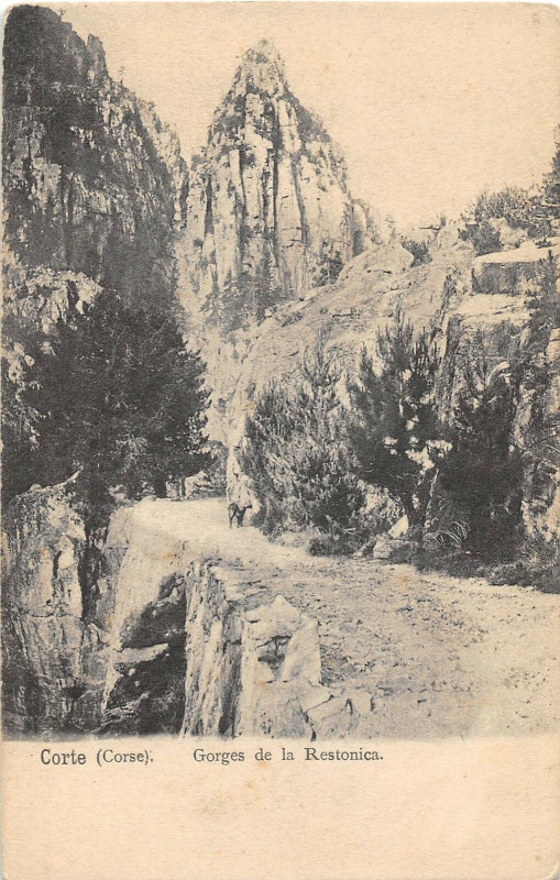 Carte postale ancienne 20 Corse Corte Gorges De La Restonica à Corte