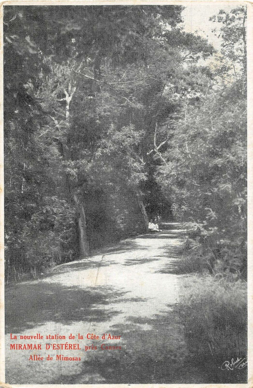 Carte postale ancienne Miramar D'Esterel Allee De Mimosas