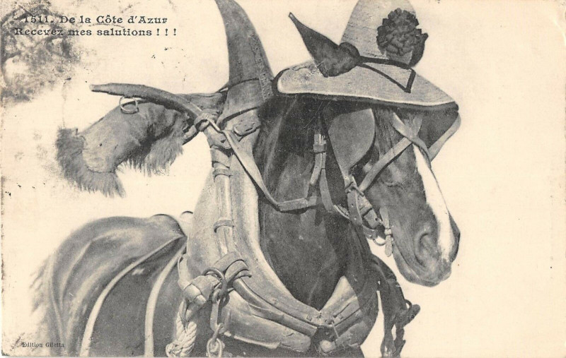Carte postale ancienne De La Cote D'Azur Recevez Mes Salutations Cheval