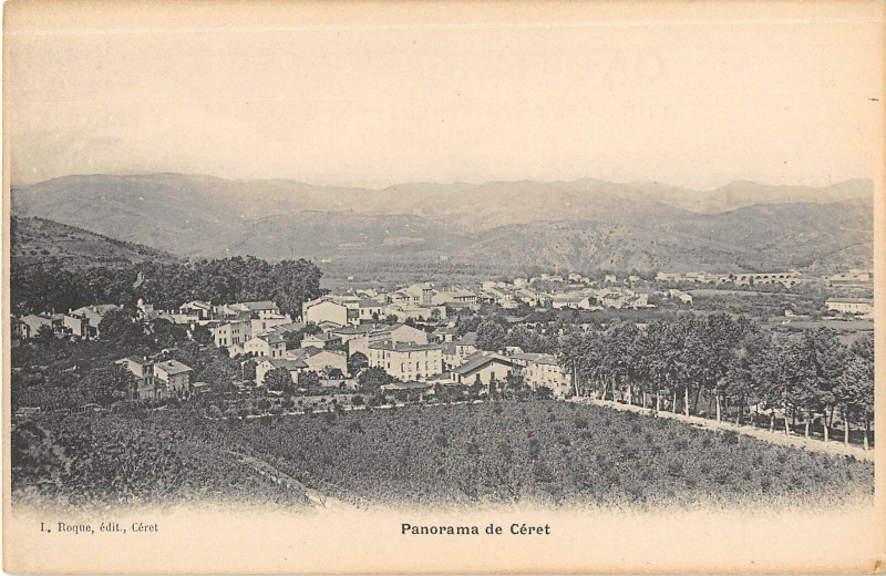 Carte postale ancienne Panorama De Ceret à Céret