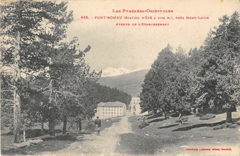 Carte postale ancienne Font Romeu Avenue De L'Etablissement