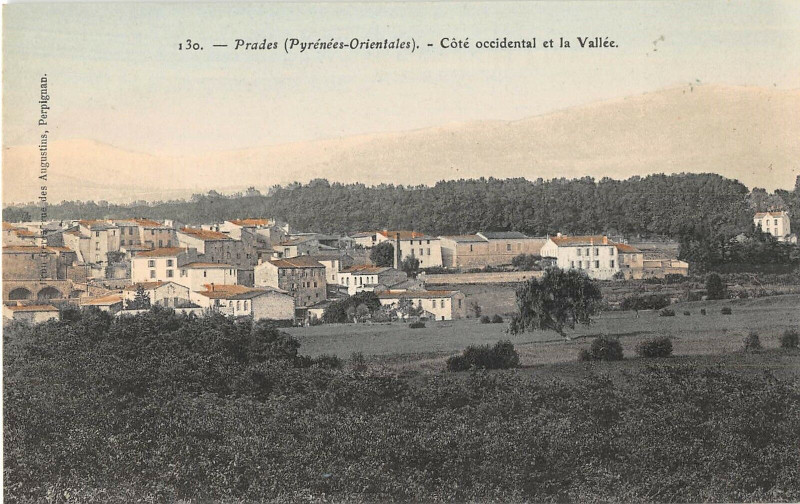 Carte postale ancienne Prades Cote Occidental Et La Vallee à Prades