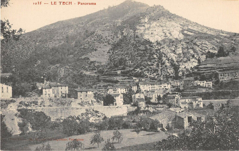 Carte postale ancienne Le Tech Panorama au Tech