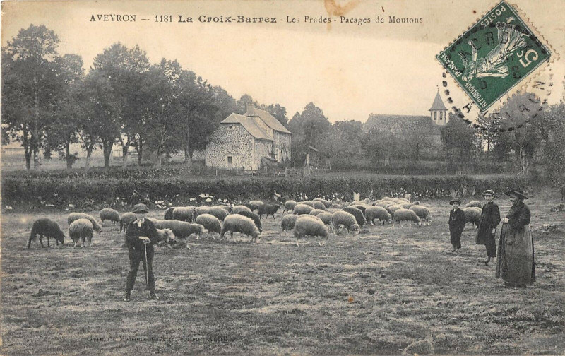 Carte postale ancienne La Croix Barrez Les Prades Pacages De Moutons (cpa pas courante