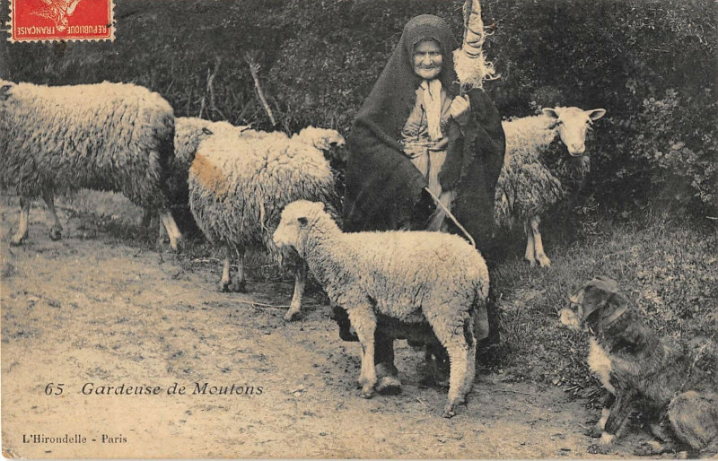 Carte postale ancienne Gardeuses De Moutons
