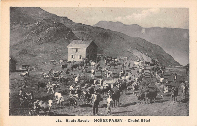Carte postale ancienne Moede Passy Chalet Hotel à Passy