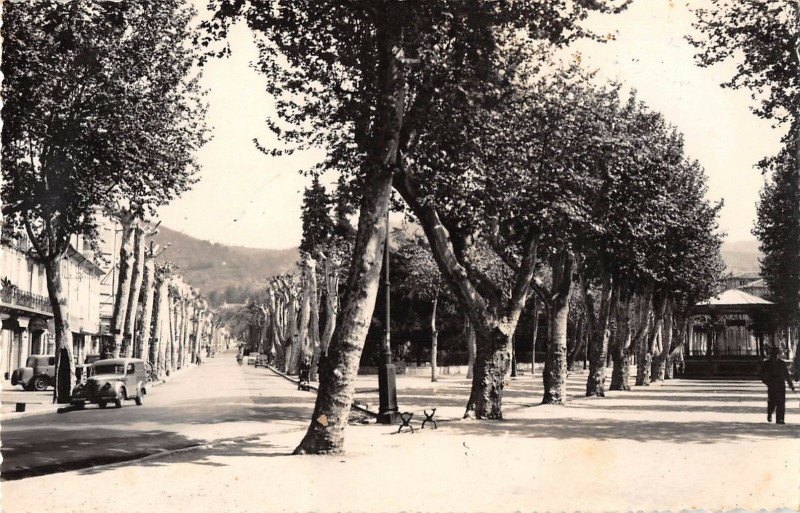 Carte postale ancienne Draguignan Les Allees à Draguignan