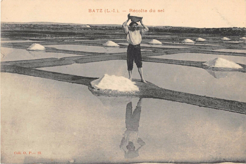 Carte postale ancienne Batz Recolte Du Sel