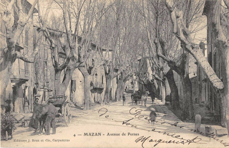 Carte postale ancienne Mazan Avenue De Pernes à Mazan