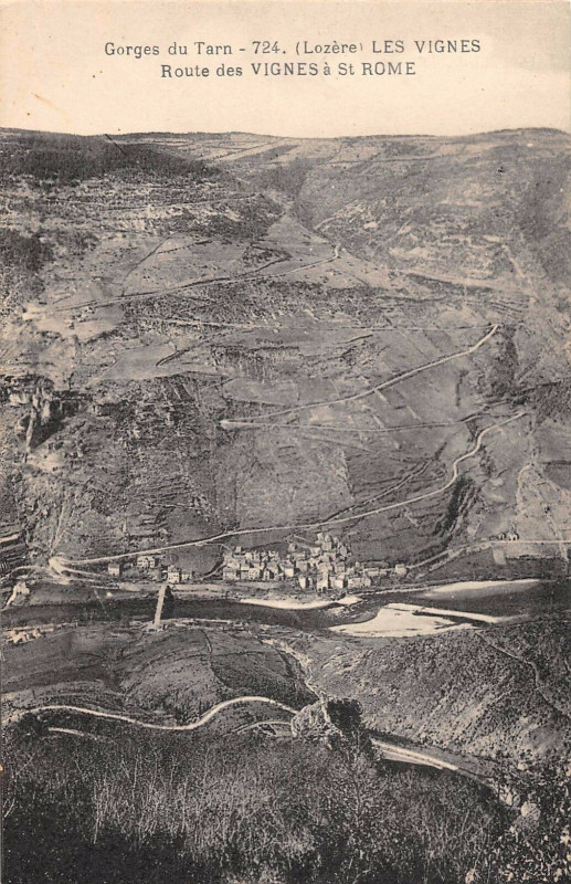 Carte postale ancienne Les Vignes Route Des Vignes A Saint-Rome
