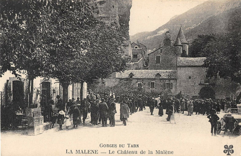 Carte postale ancienne La Malene Le Chateau De La Malene