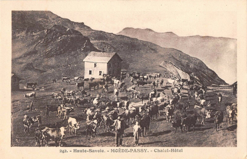 Carte postale ancienne Moede Passy Chalet Hotel à Passy