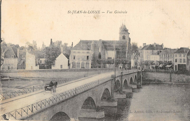 Carte postale ancienne Saint-Jean-de-Losne - Vue Générale à Losne