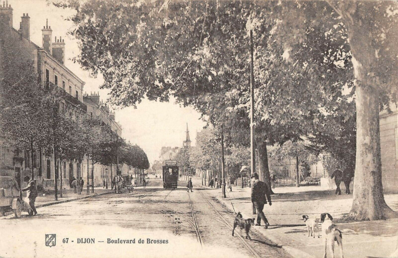 Carte postale ancienne Dijon Boulevard Des Brosses à Dijon