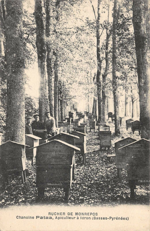 Carte postale ancienne Rucher De Monrepos Chanoine Pataa Apiculteur A Idron à Idron
