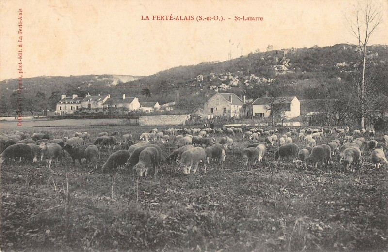 Carte postale ancienne La Ferte Alais Saint Lazare