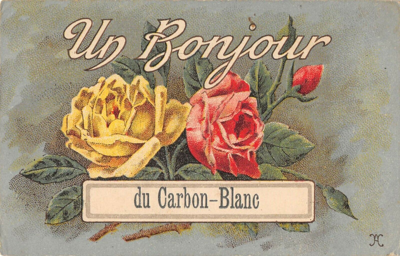 Carte postale ancienne Un Bonjour Du Carbon Blanc à Carbon-Blanc