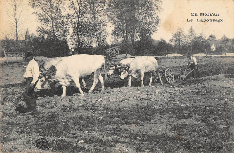 Carte postale ancienne En Morvan Le Labourage