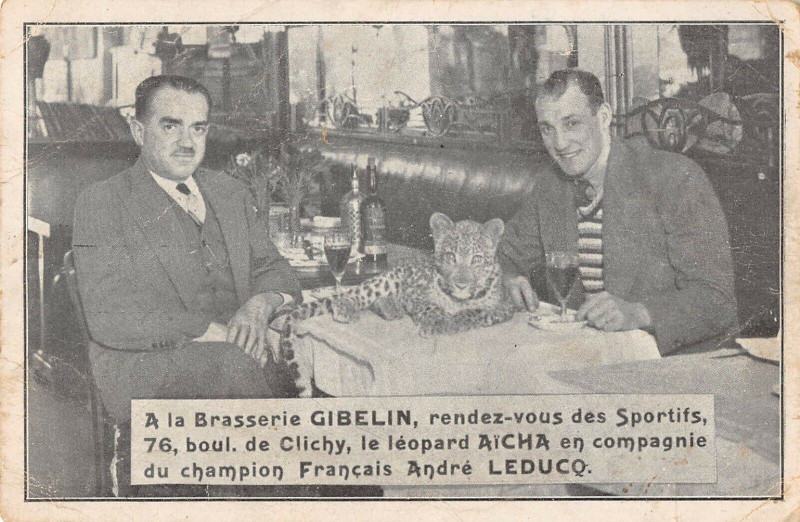 Carte postale ancienne A la Brasserie Gibelin, rendez-vous des Sportifs à Paris 18e