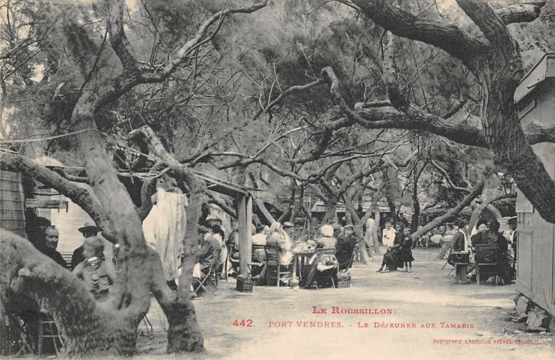 Carte postale ancienne 65 Port Vendres Le Dejeuner Au Tamaris à Port-Vendres
