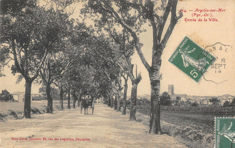 Carte postale ancienne Argeles Sur Mer Entree De La Ville à Ur