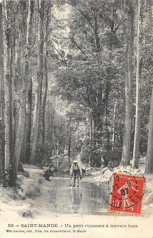 Carte postale ancienne Saint Mande Un Petit Ruisseau A Travers Bois