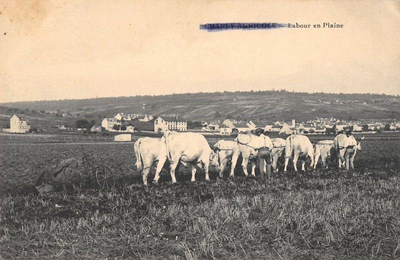 Carte postale ancienne Charly Agricole Labour En Plaine à Harly
