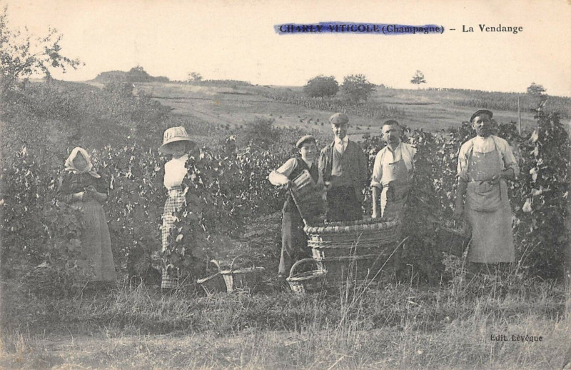Carte postale ancienne Charly Viticole La Vendange à Harly