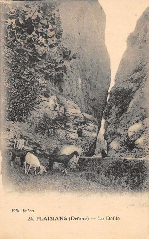 Carte postale ancienne Plaisians Le Defile à Plaisians