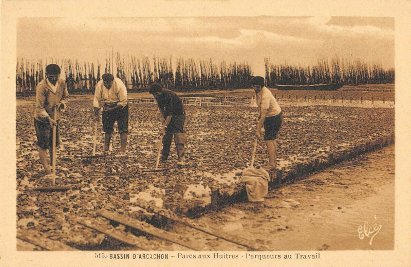 Carte postale ancienne Bassin Arcachon Parc Aux Huitres Parqueurs Au Travail à Arcachon