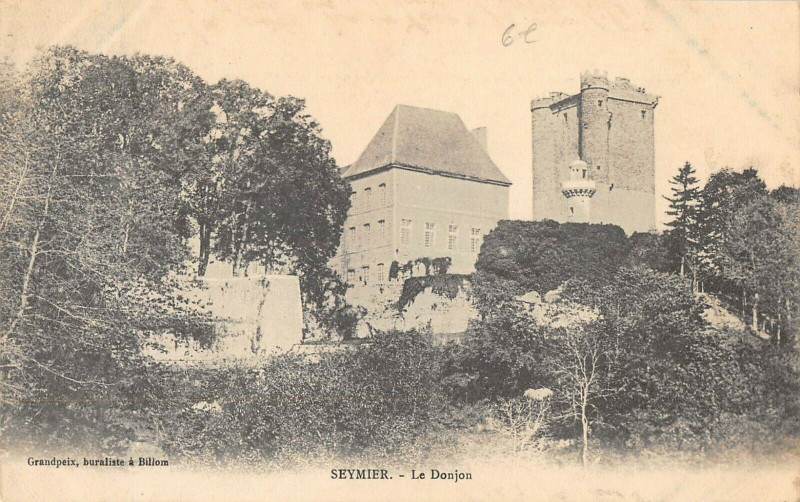 Carte postale ancienne Seymier Le Donjon