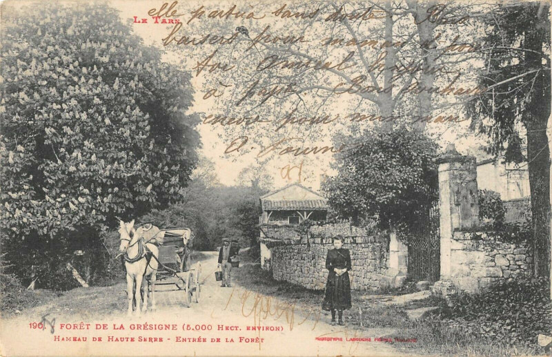 Carte postale ancienne 82 Foret De La Gresigne Hameau De Haute Serre Entree De La Foret